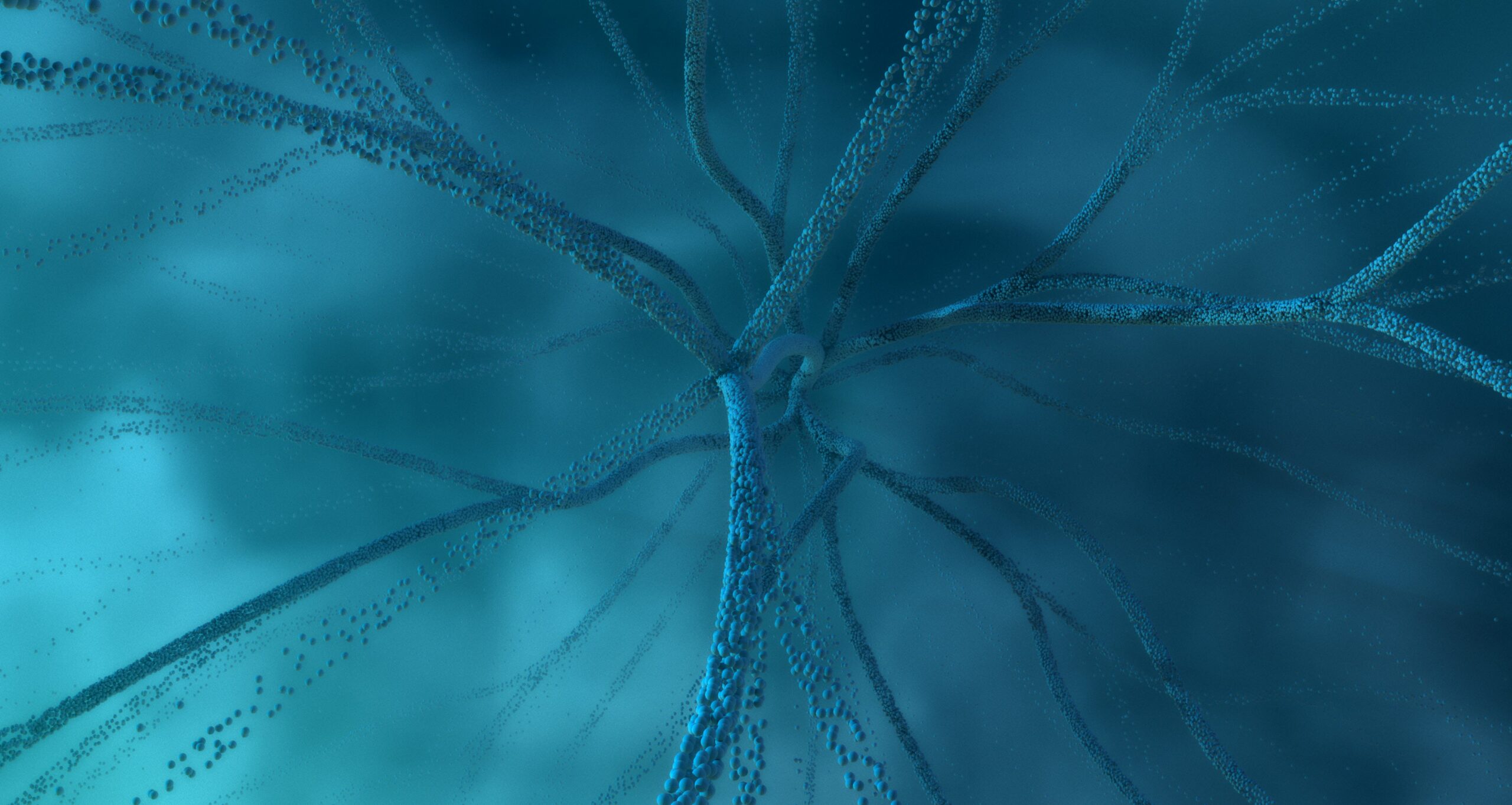 Coaching that moves you forward. Inspired by Song.